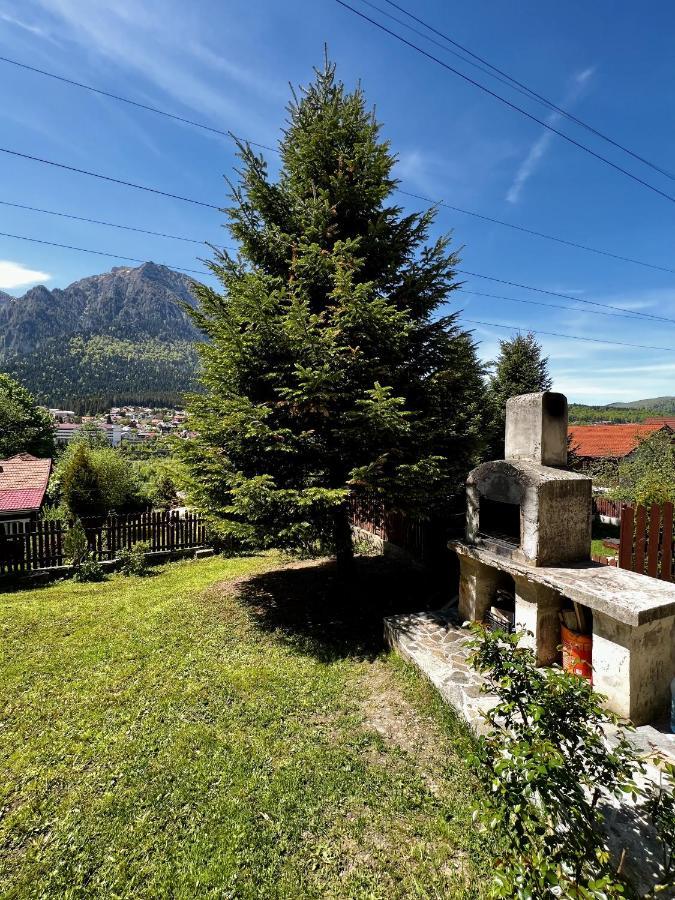 The Bear House 2 Villa Buşteni Exteriör bild