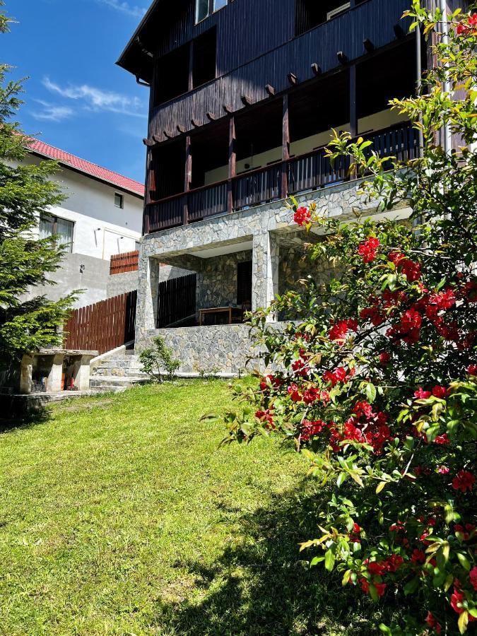 The Bear House 2 Villa Buşteni Exteriör bild